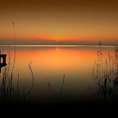 公寓 Loft Torres Quart-valencia Center *