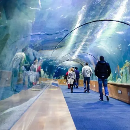 公寓 Loft Torres Quart-valencia Center *